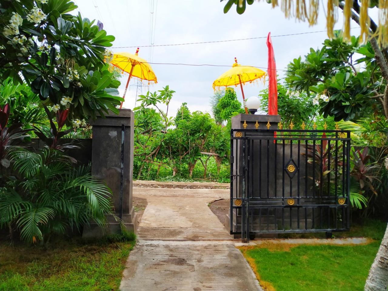 Pemuteran Angga Guest House מראה חיצוני תמונה